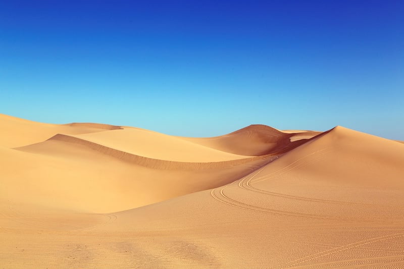 Desert Oasis